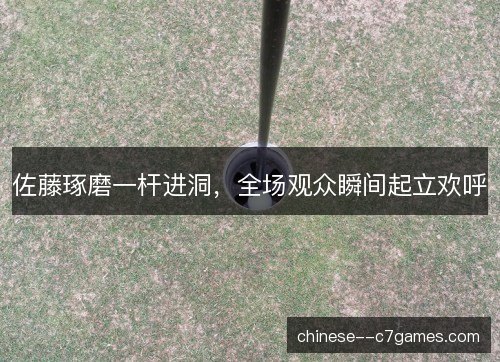 佐藤琢磨一杆进洞,全场观众瞬间起立欢呼 佐藤琢磨一杆进洞,全场观众瞬间起立欢呼